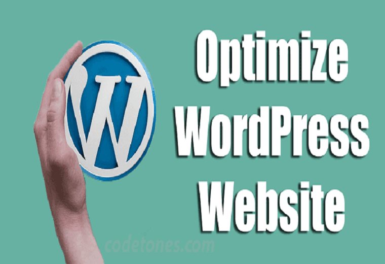 Wordpress optimize