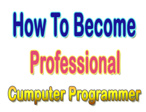 Professional Computer Programmer