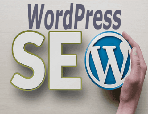 WordPress Website SEO