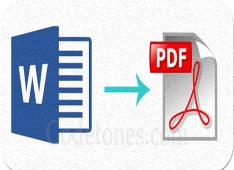 MS Word to PDF