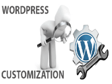 WordPress Customization