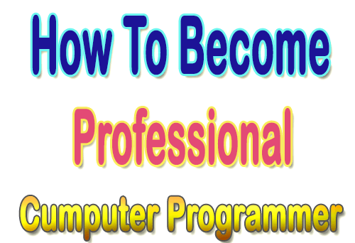 Professional Computer Programmer